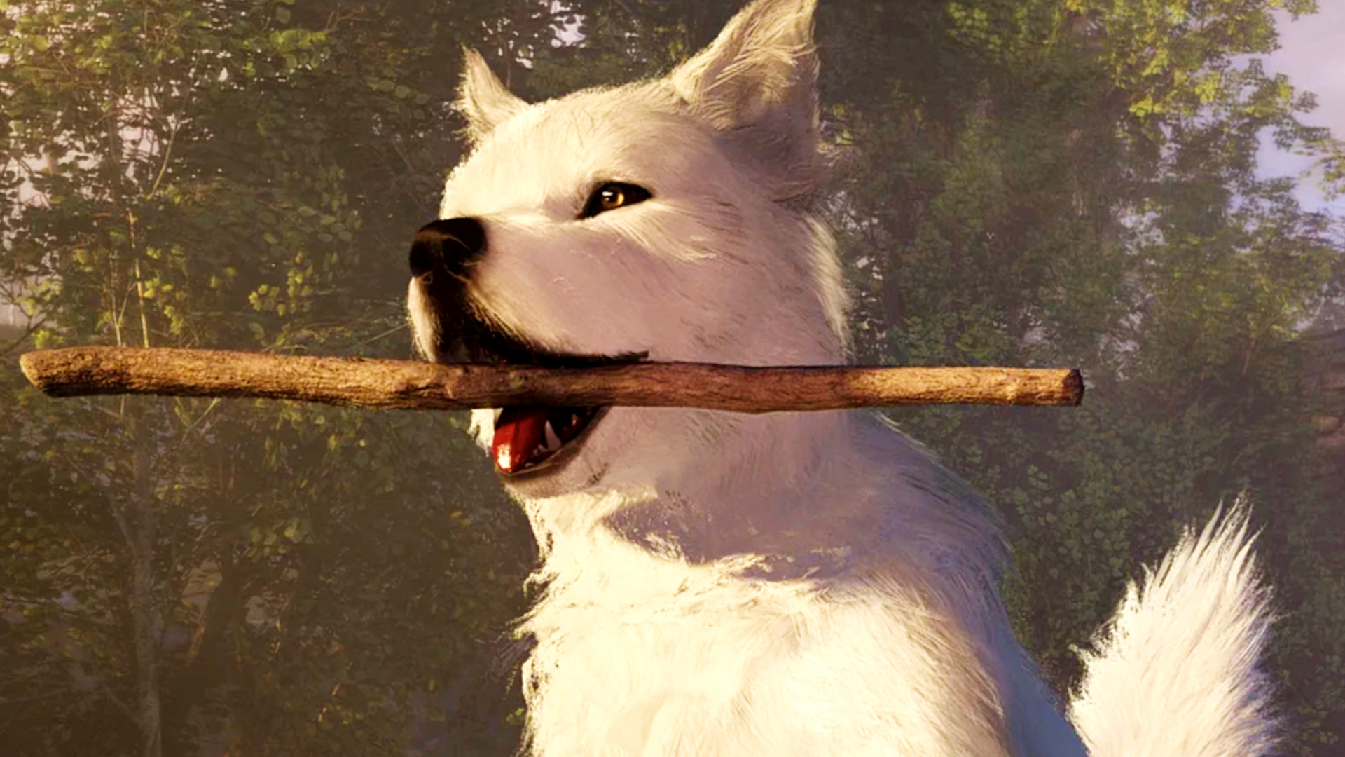 Soulframe's Preludes 16 update adds fishing, wolf pups and dynamic weather
