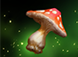 Vital Toadstool
