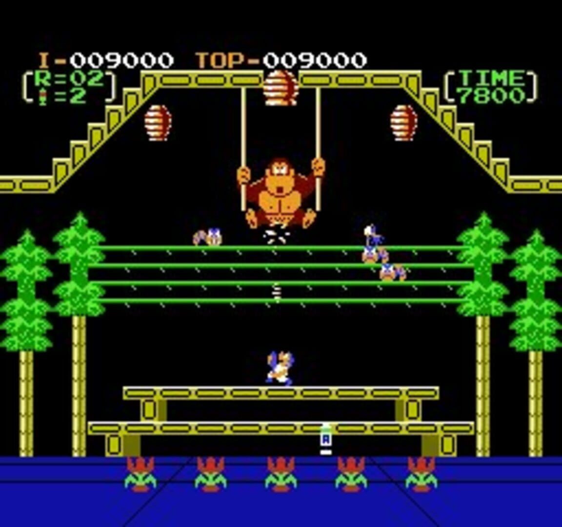 Donkey Kong 3 screenshot 2
