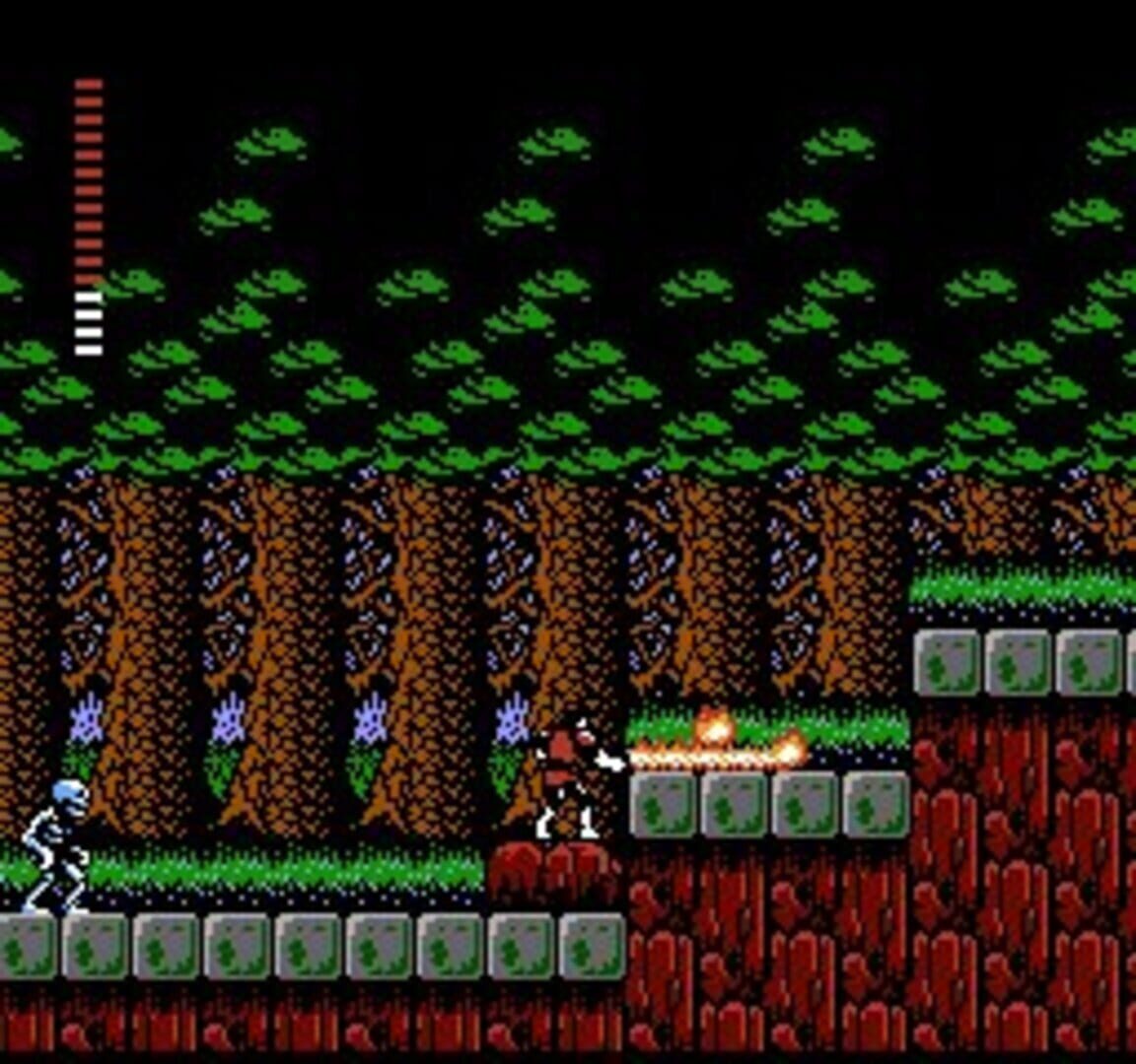 Castlevania II: Simon's Quest screenshot 5