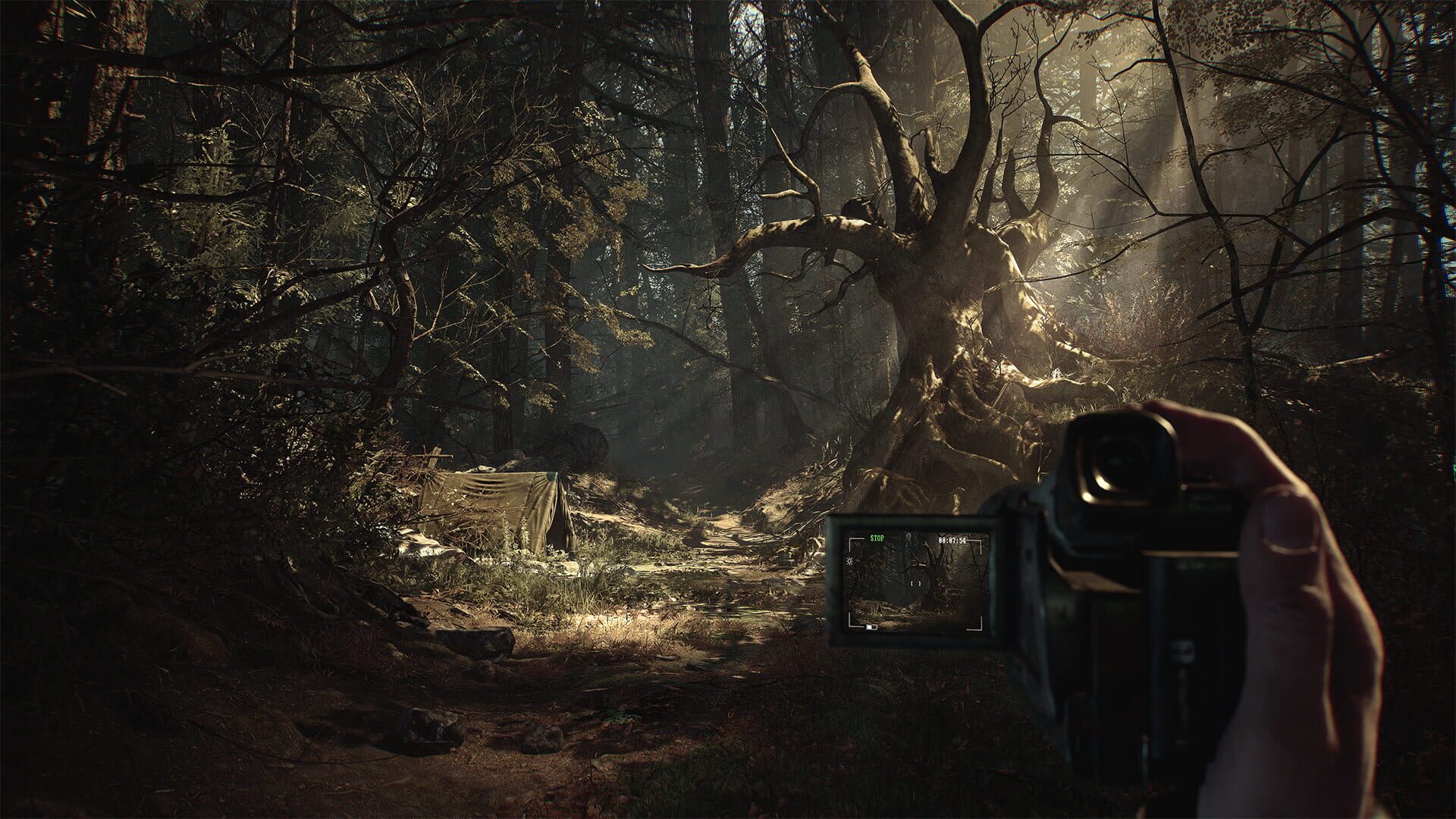 Blair Witch screenshot 2