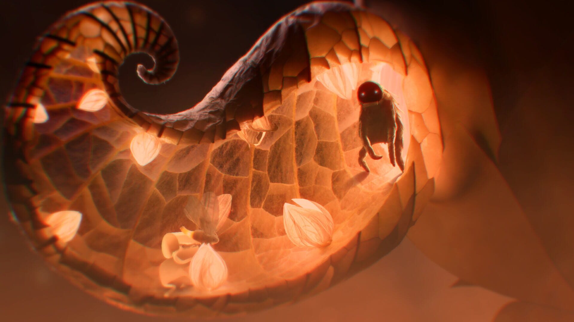 Papetura screenshot 2