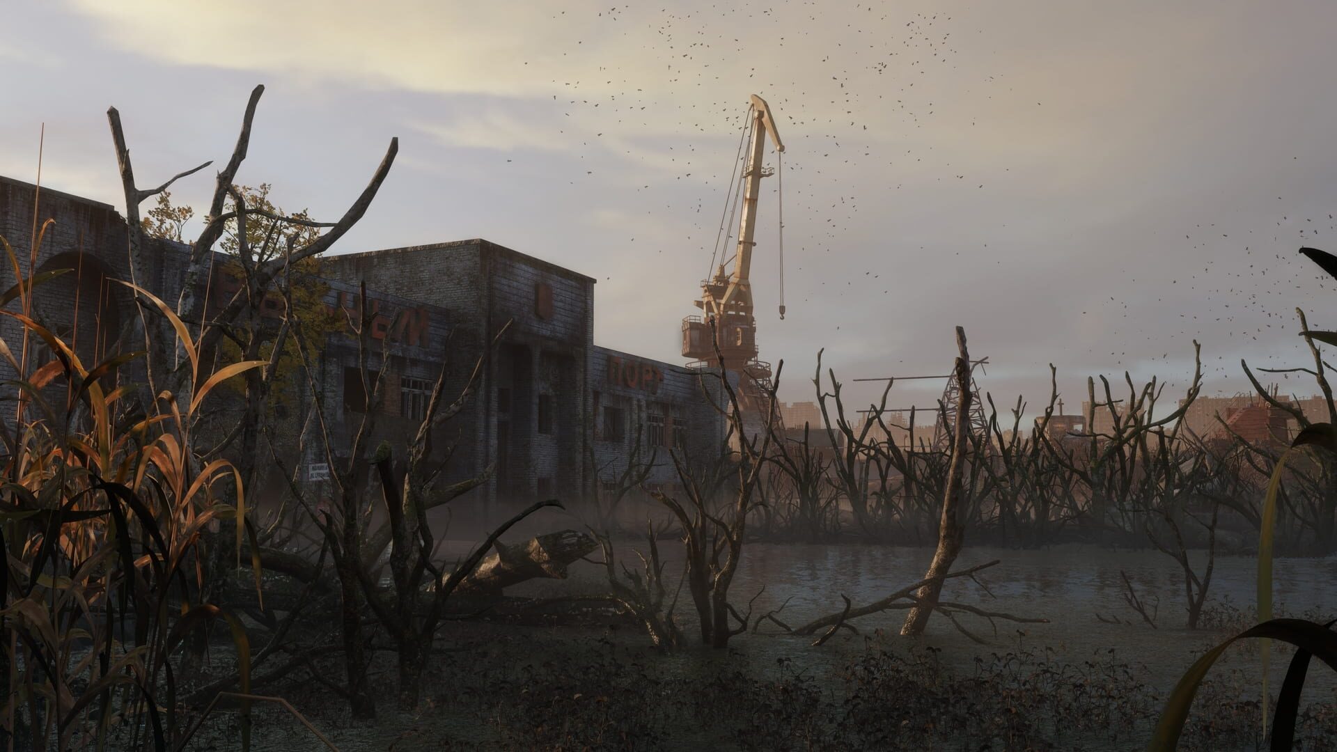 Metro Exodus: Sam's Story screenshot 5