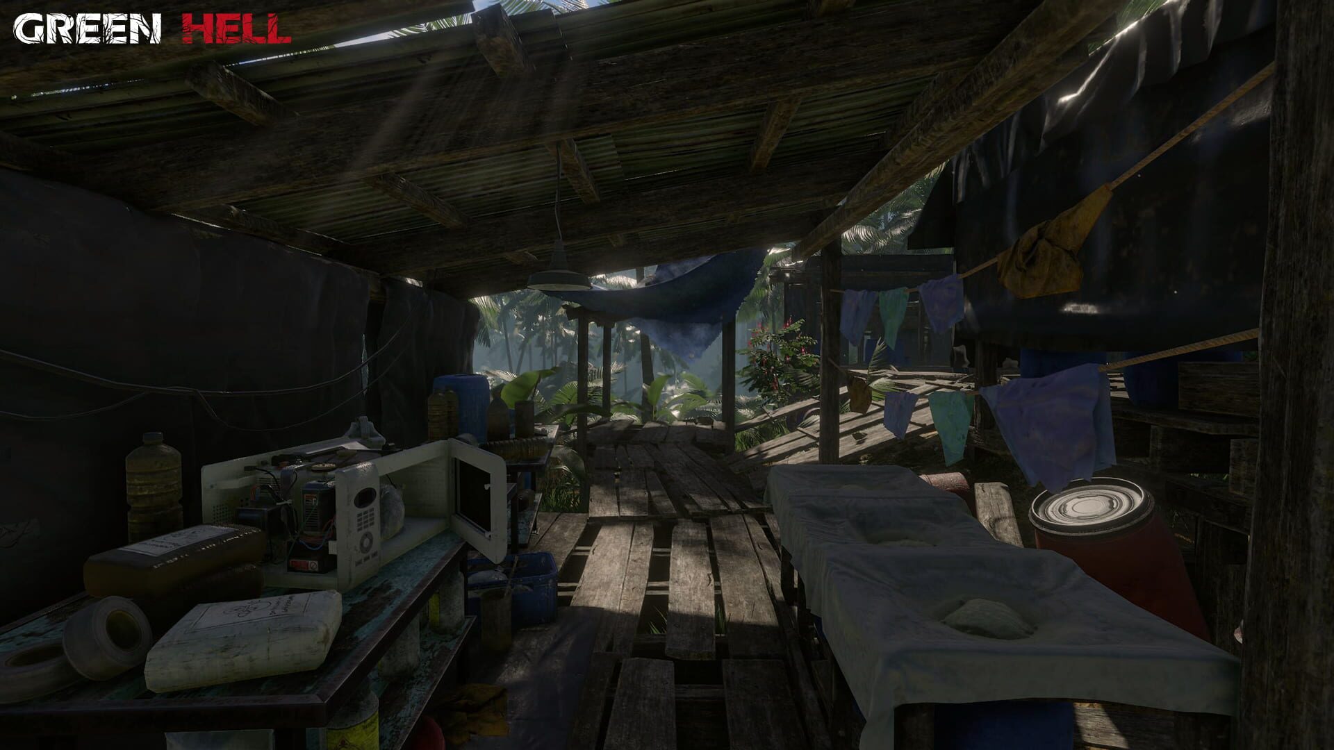 Green Hell screenshot 2