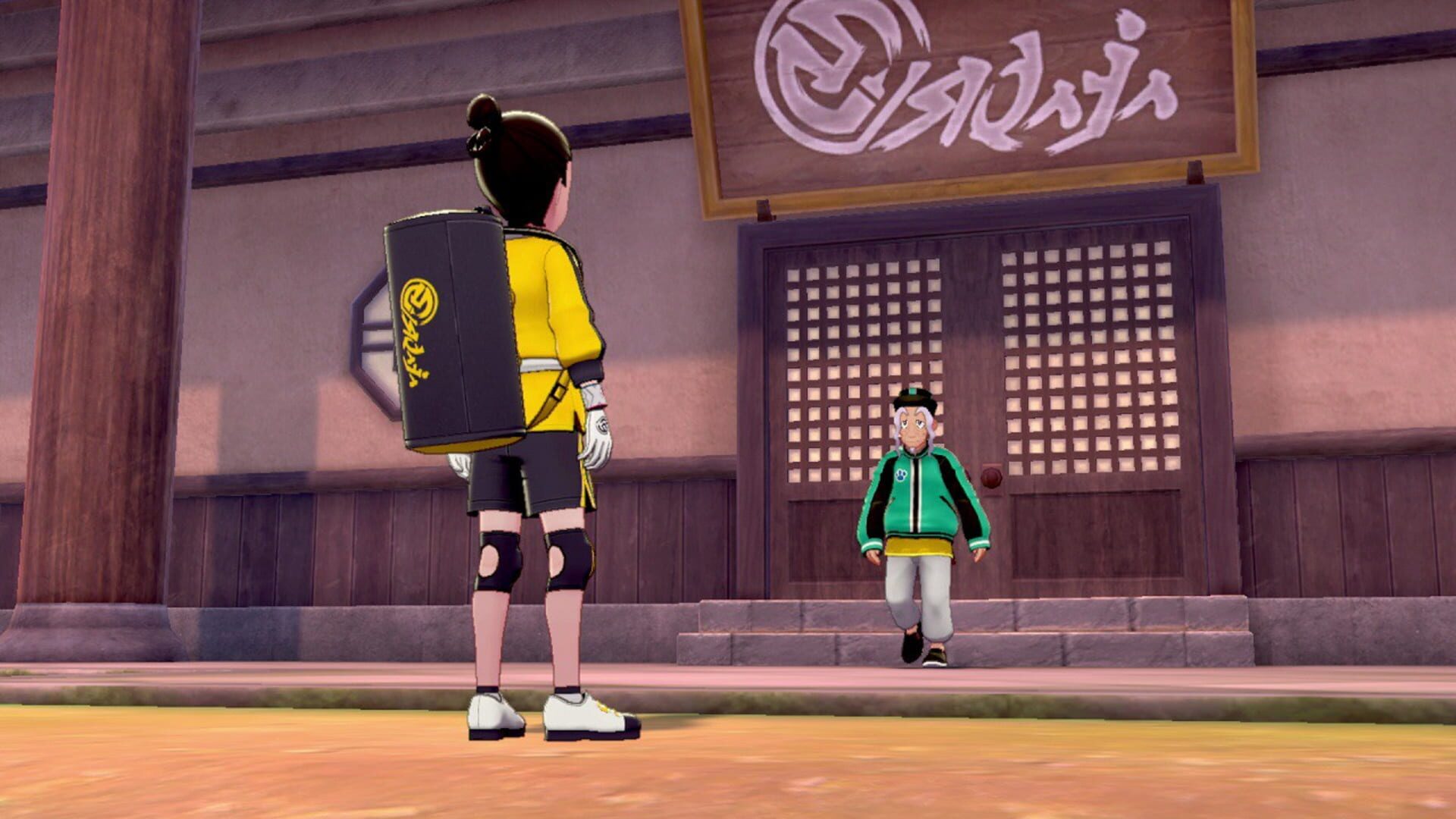 Pokémon Sword: The Isle of Armor screenshot 4