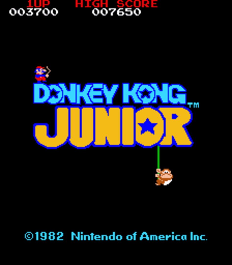 Donkey Kong Junior