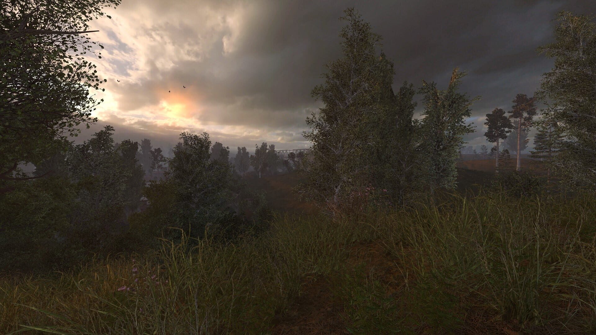 S.T.A.L.K.E.R.: Anomaly screenshot 6