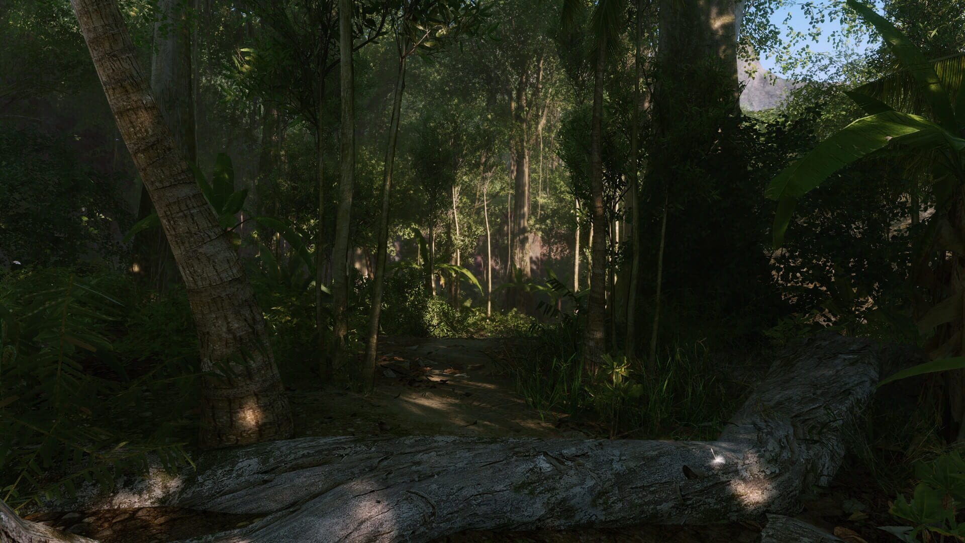 Crysis Remastered screenshot 3