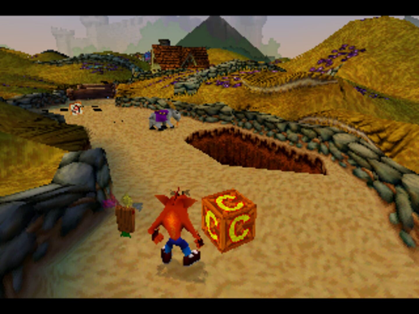 Crash Bandicoot: Warped screenshot 2