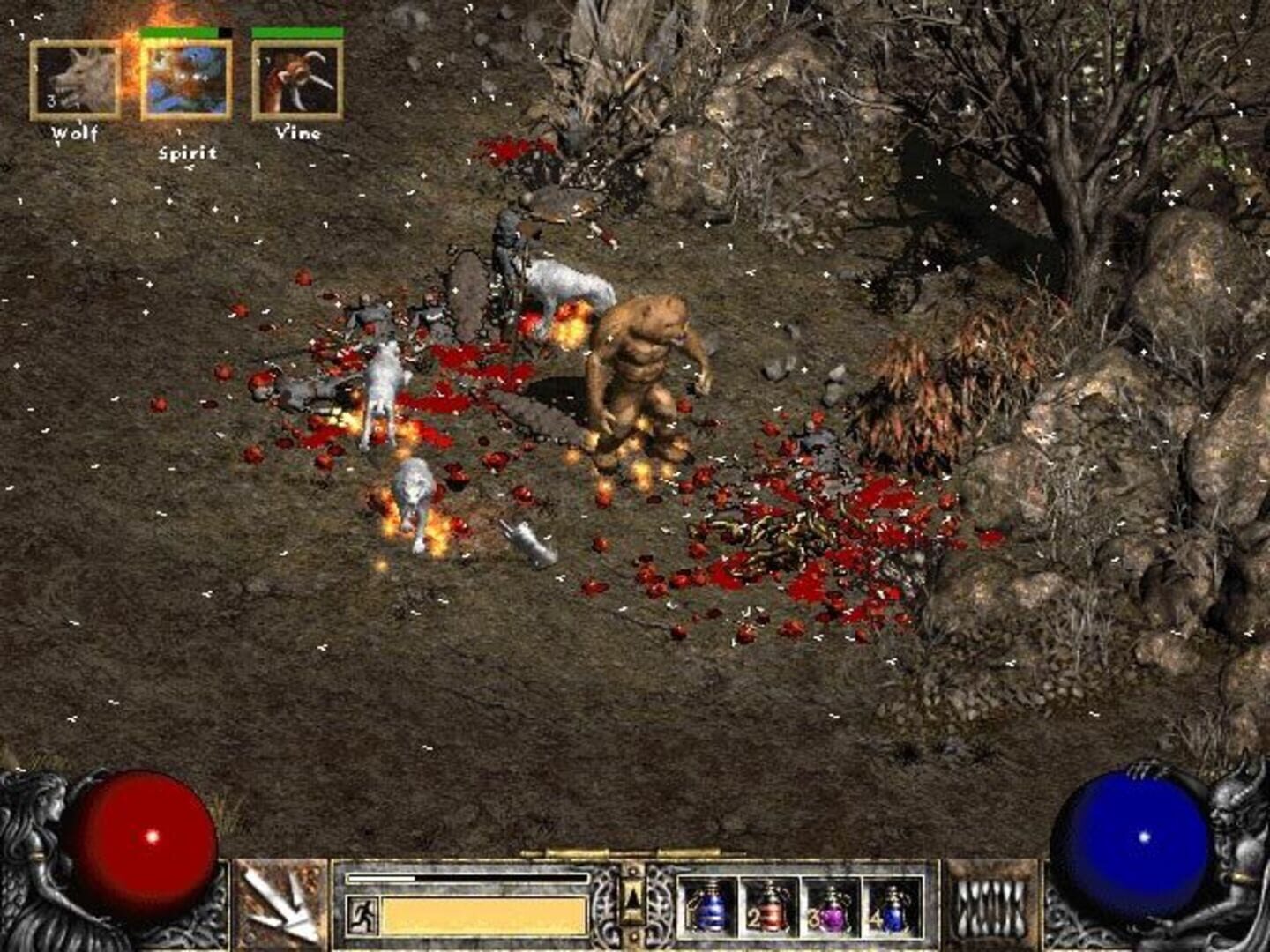 Diablo II screenshot 3