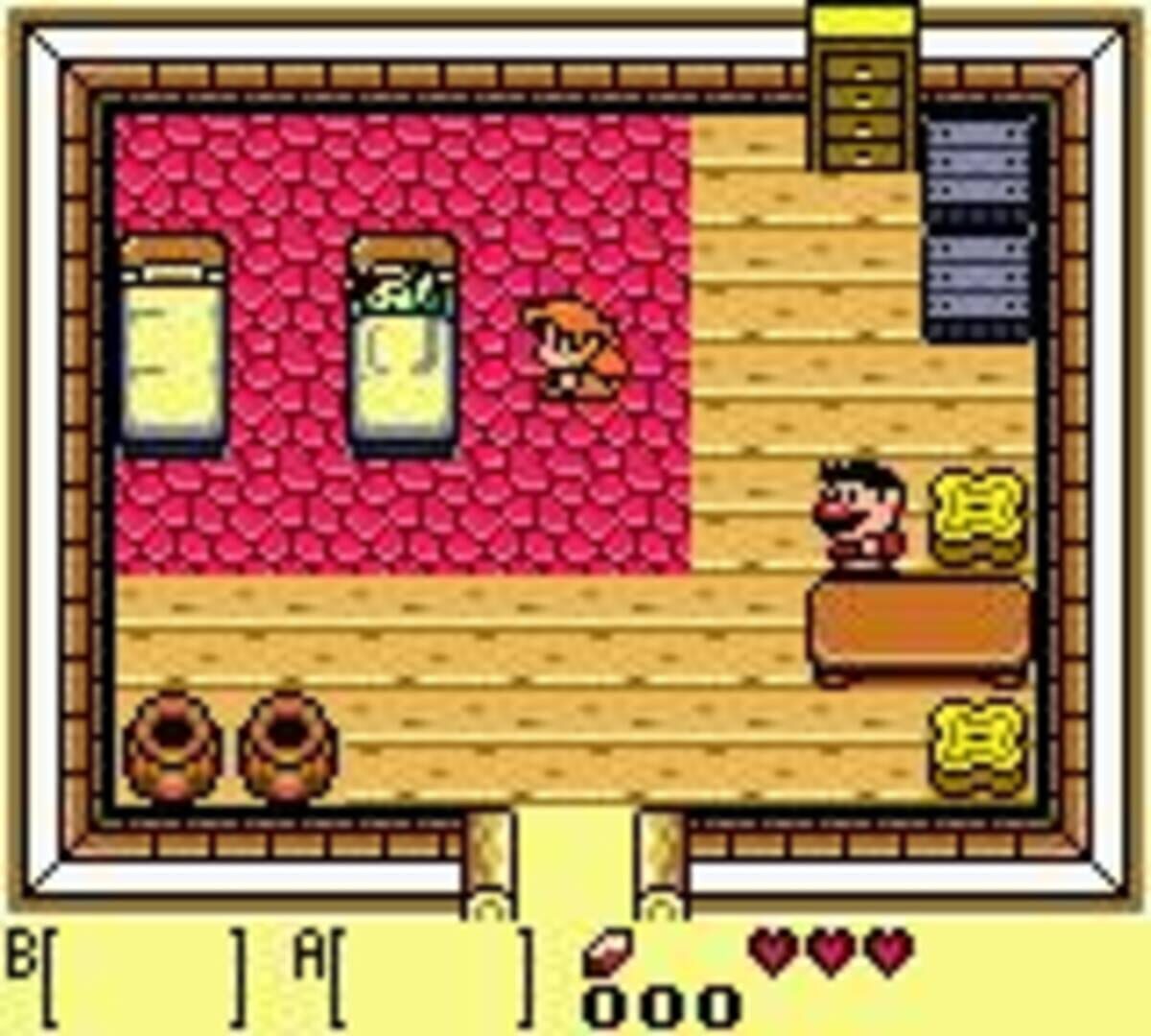 The Legend of Zelda: Link's Awakening DX screenshot 4