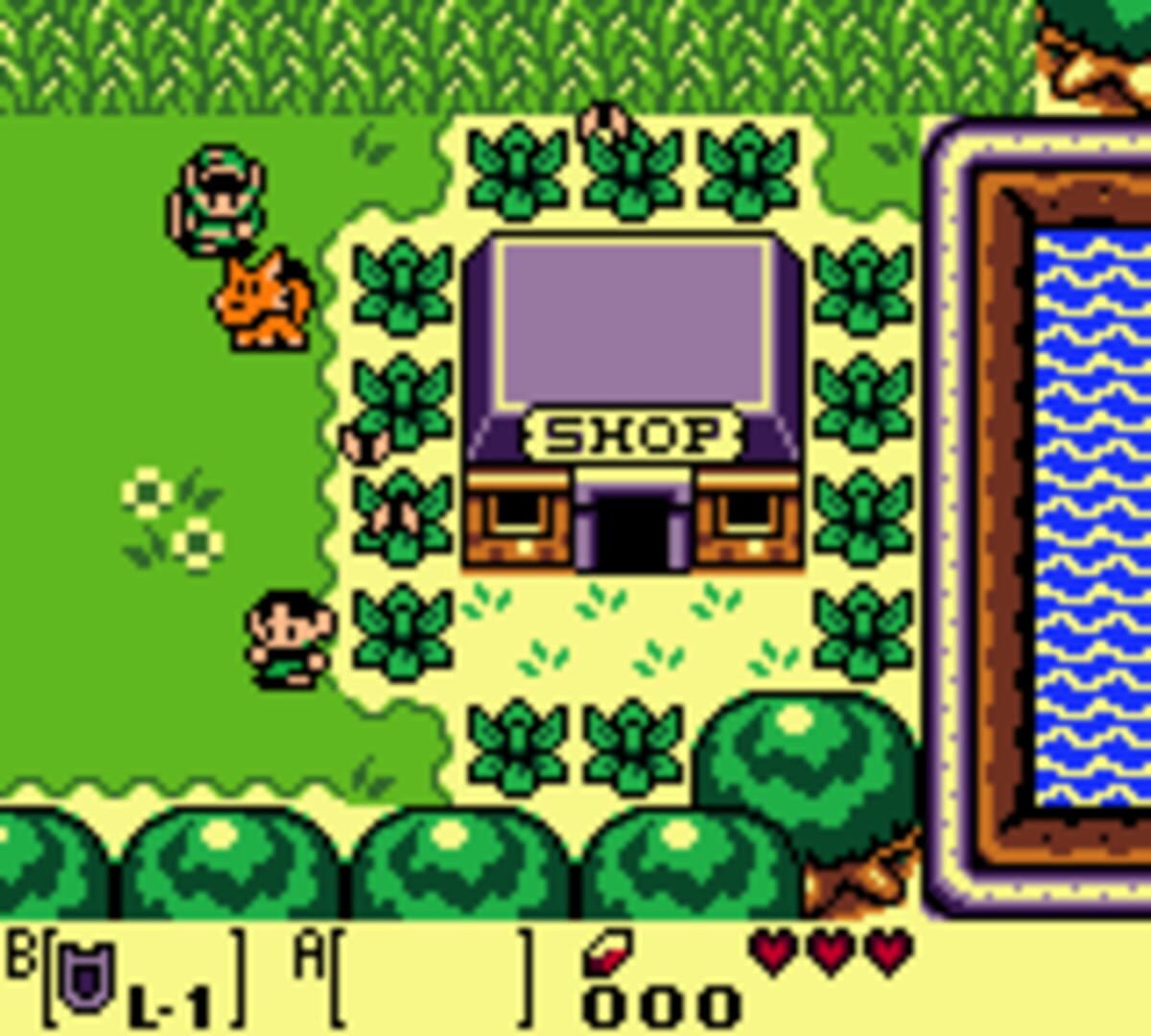 The Legend of Zelda: Link's Awakening DX screenshot 3