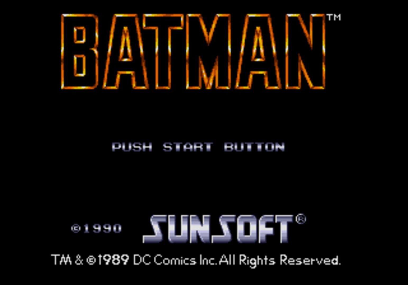Batman: The Video Game