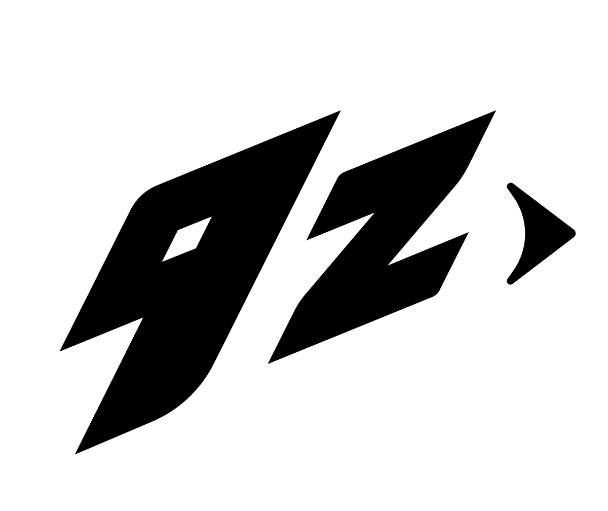 9z Team crest