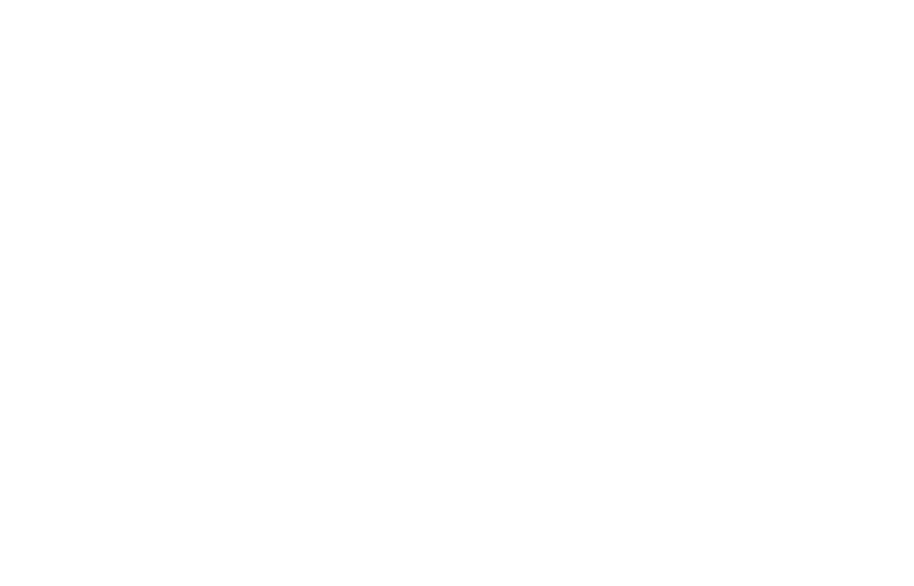 Annex Esports crest