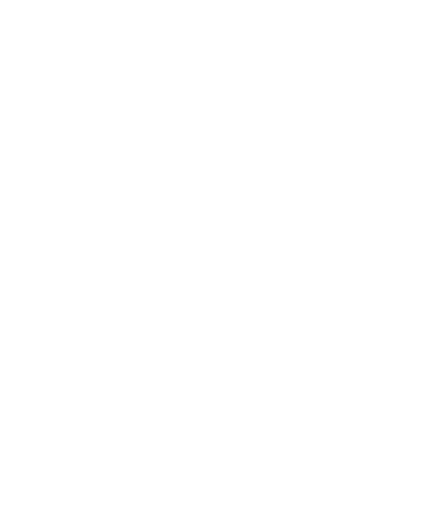 B8 crest