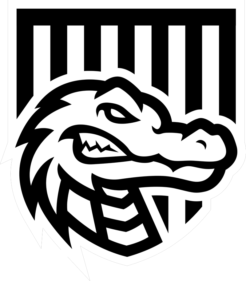 CyberHero crest