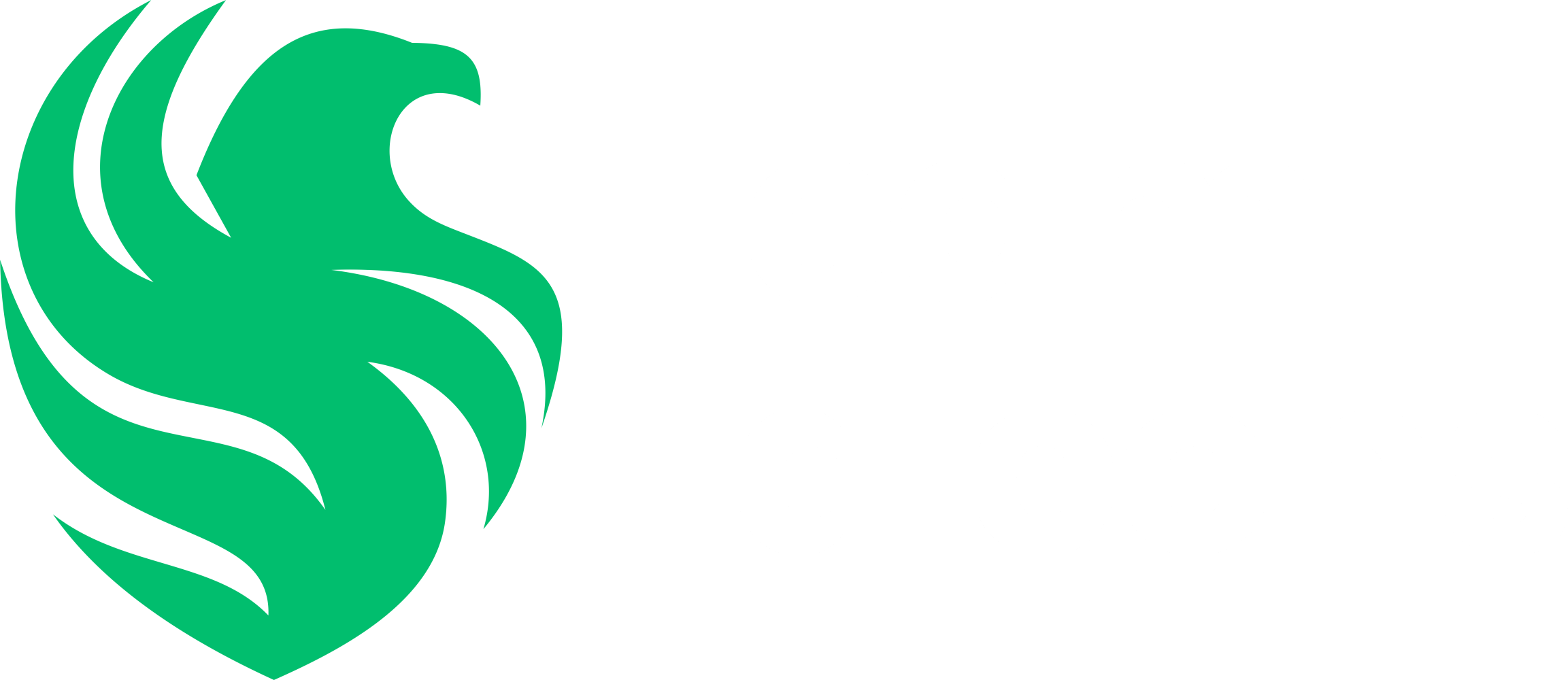 Falcons Vega MENA crest