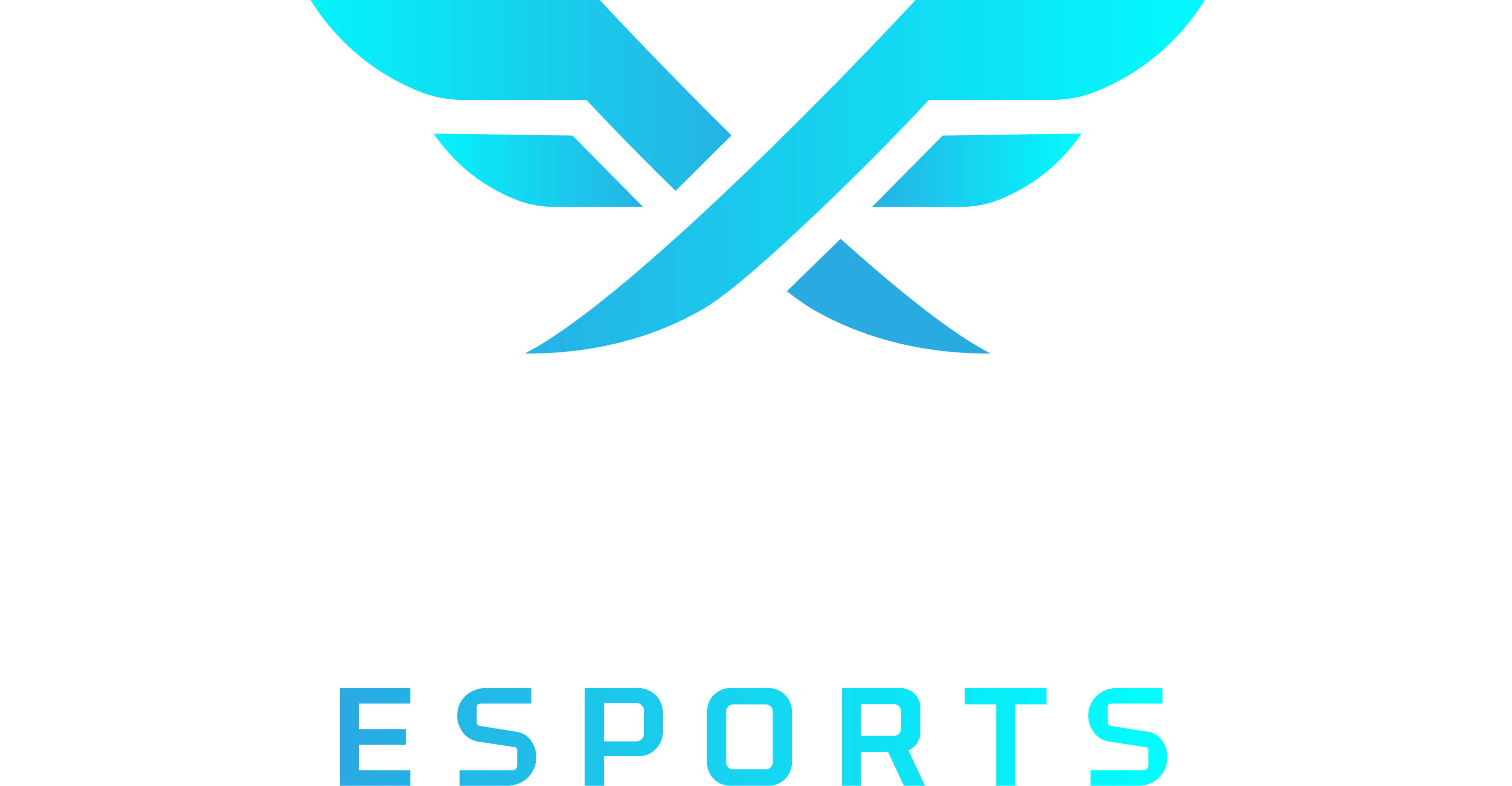 Fire Flux Esports crest