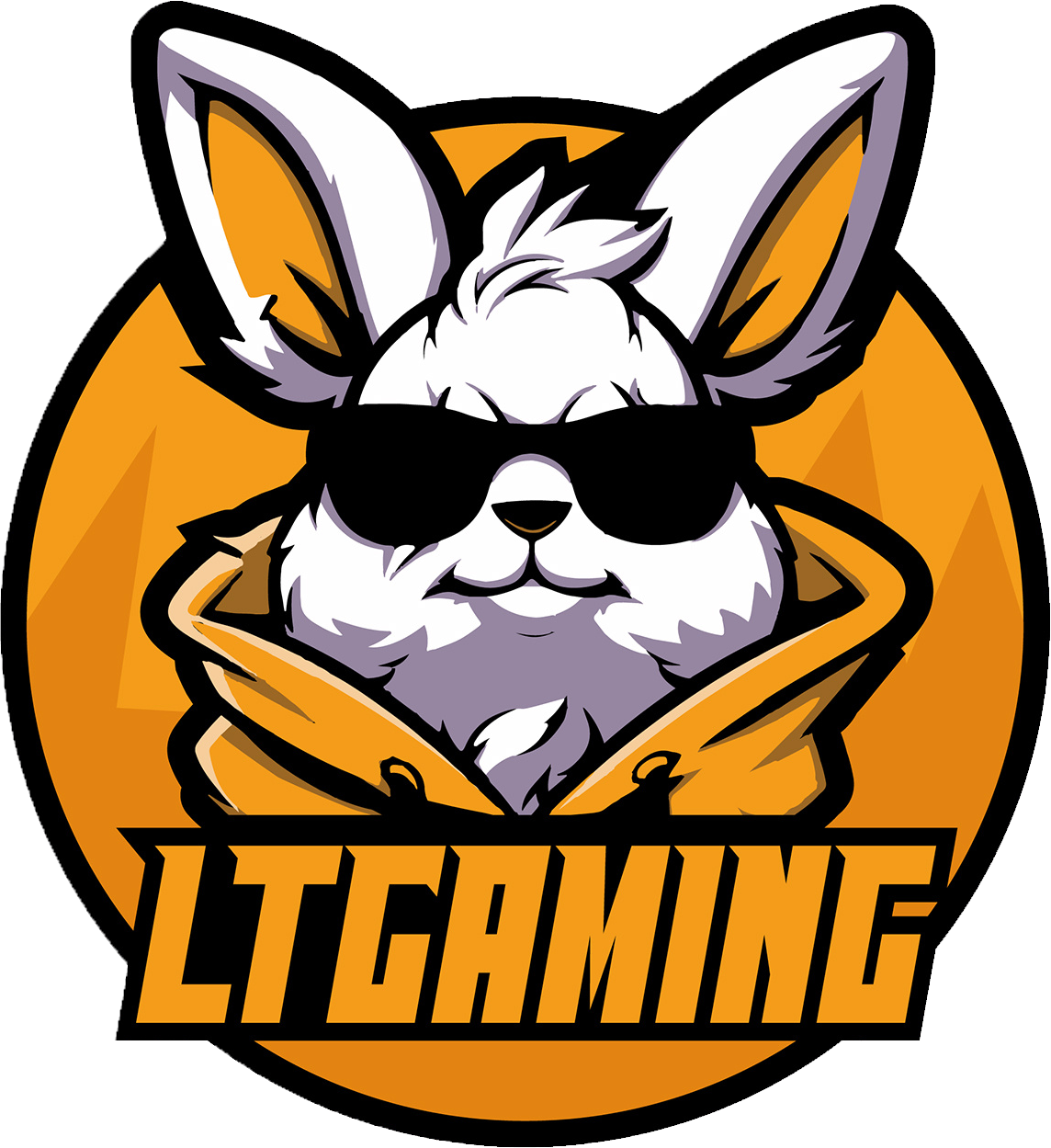 LT Gaming crest