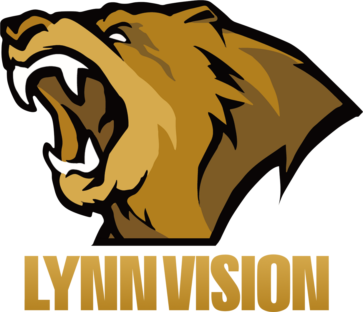 Lynn Vision Gaming crest