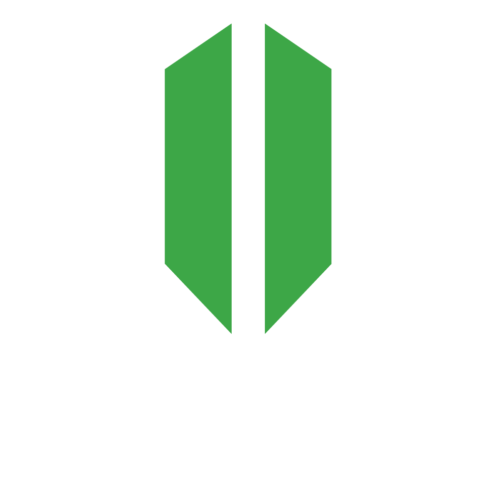 Next2Nu Esports crest