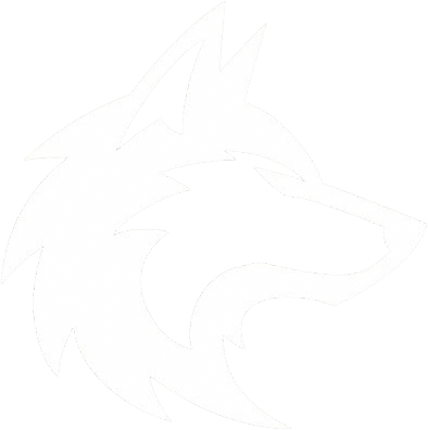 NOKAR Esport crest