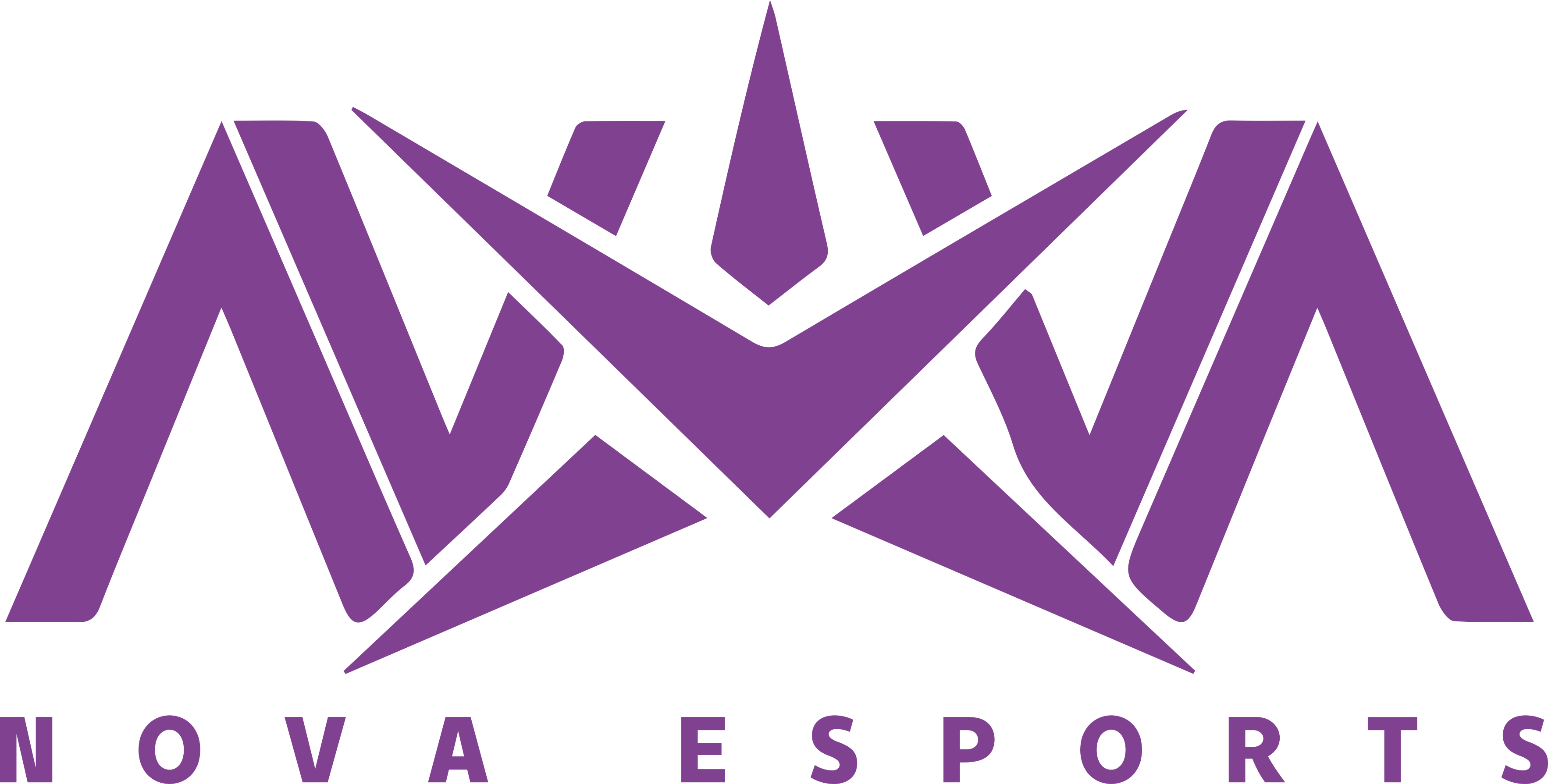 Nova Esports crest