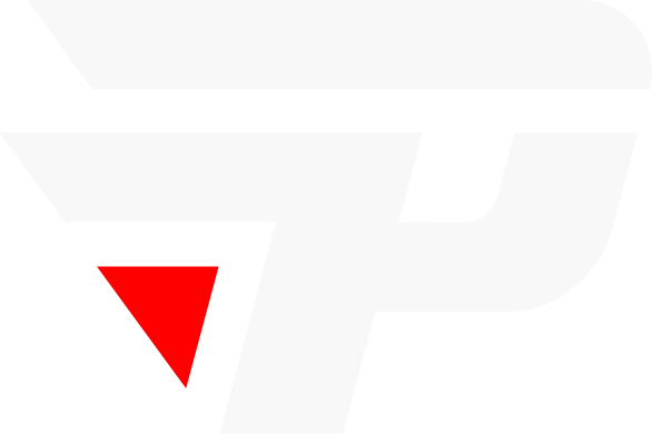 paiN Gaming crest