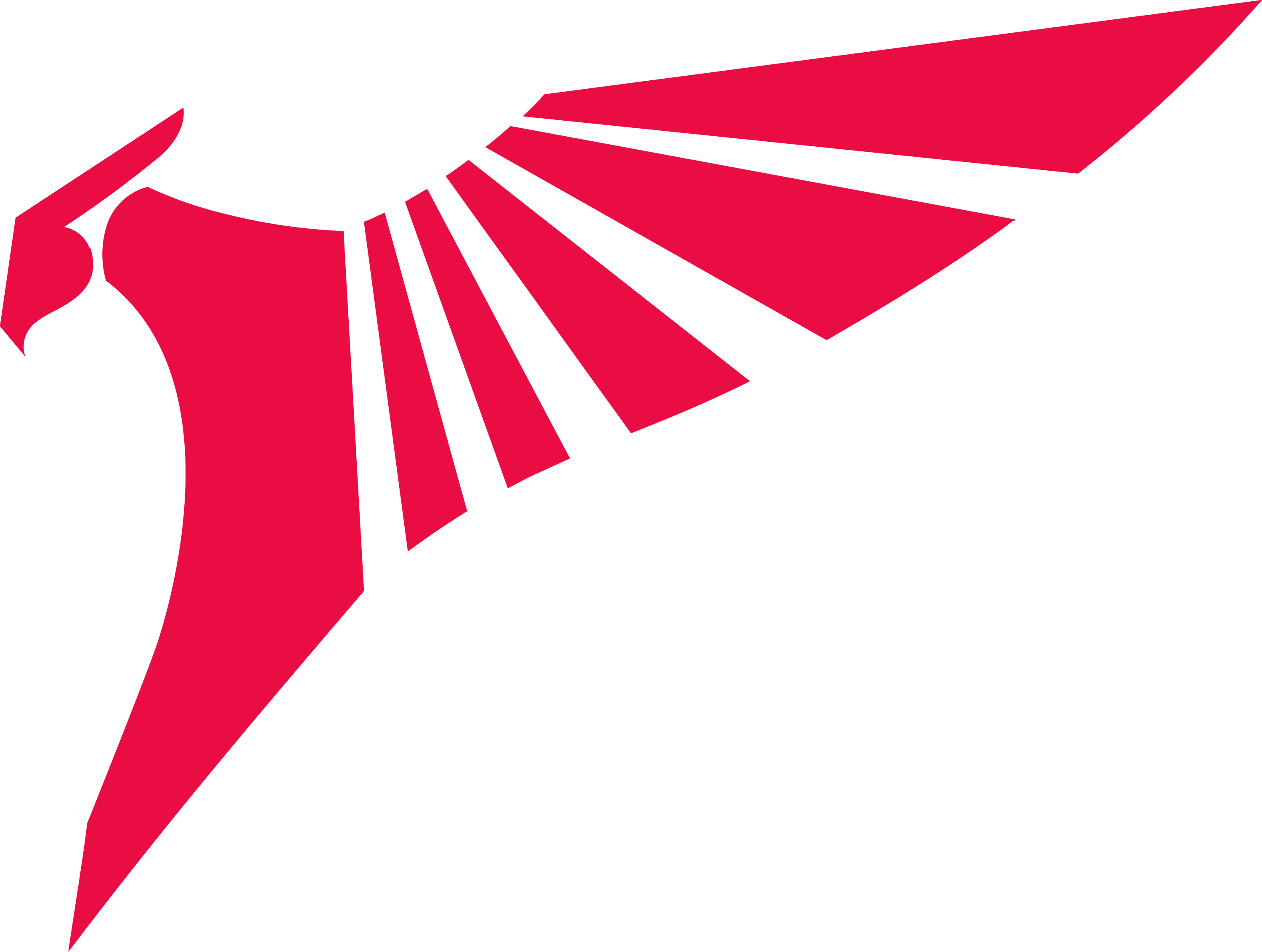 TALON crest