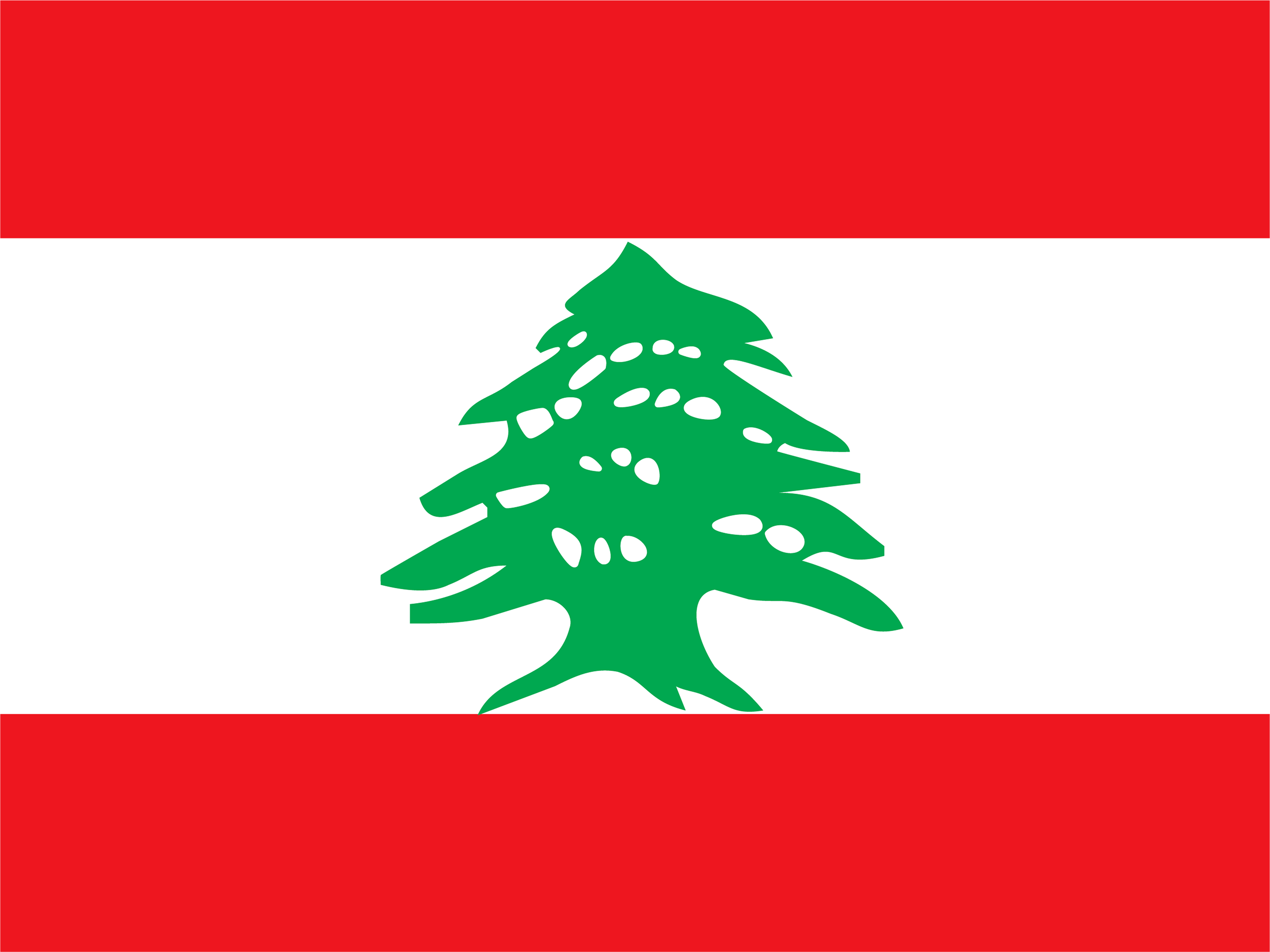 Team Lebanon crest