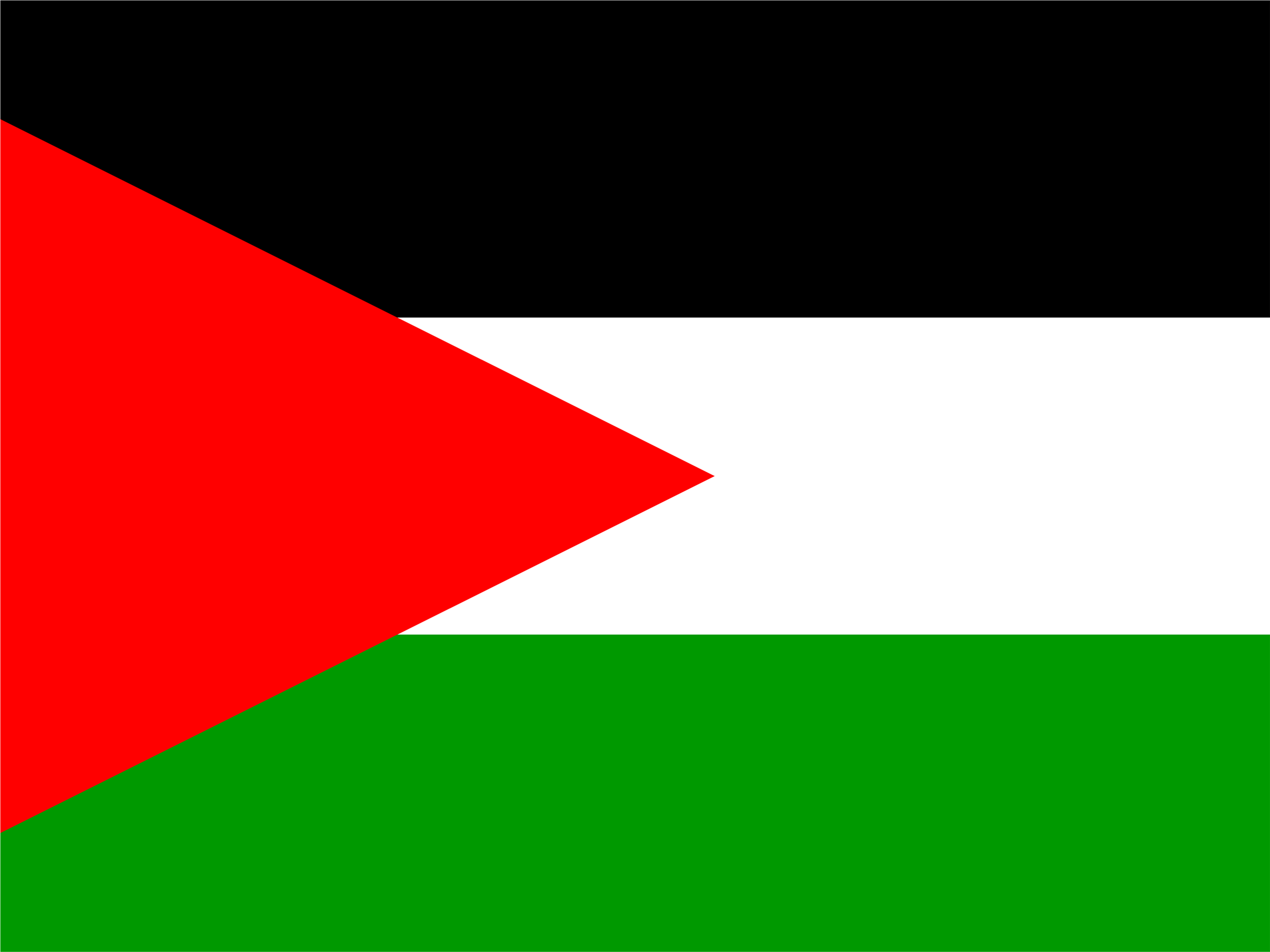 Team Palestine crest