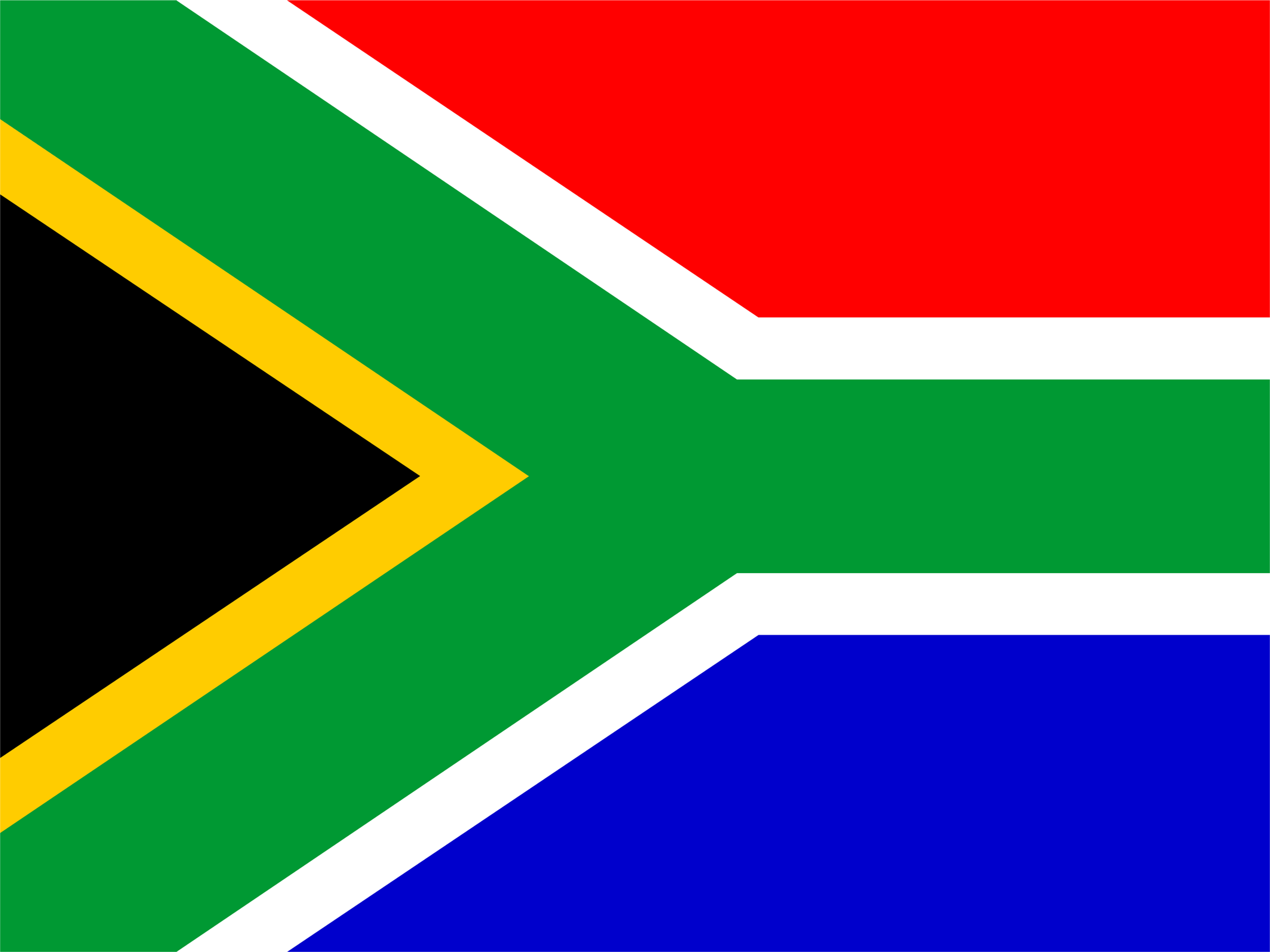 Team South Africa crest