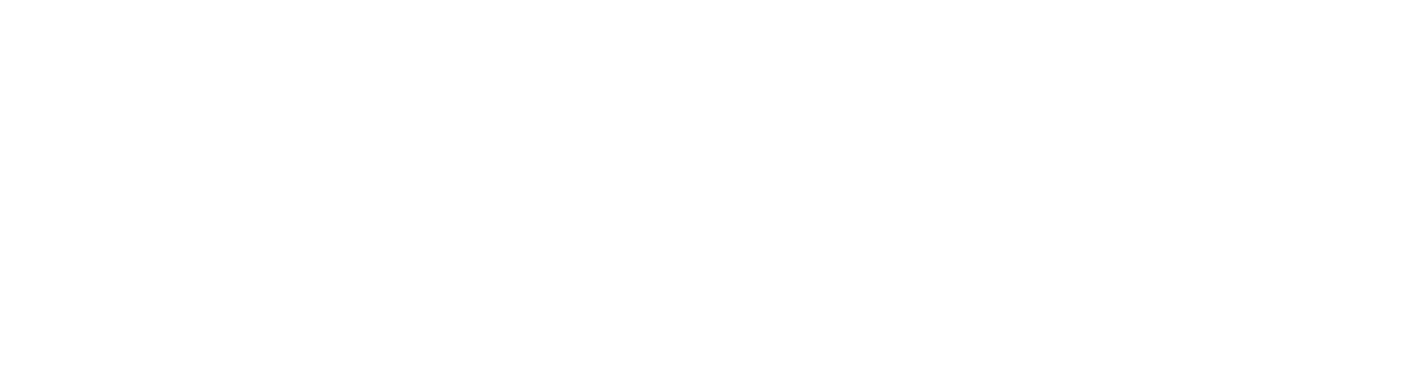 Team Spirit crest