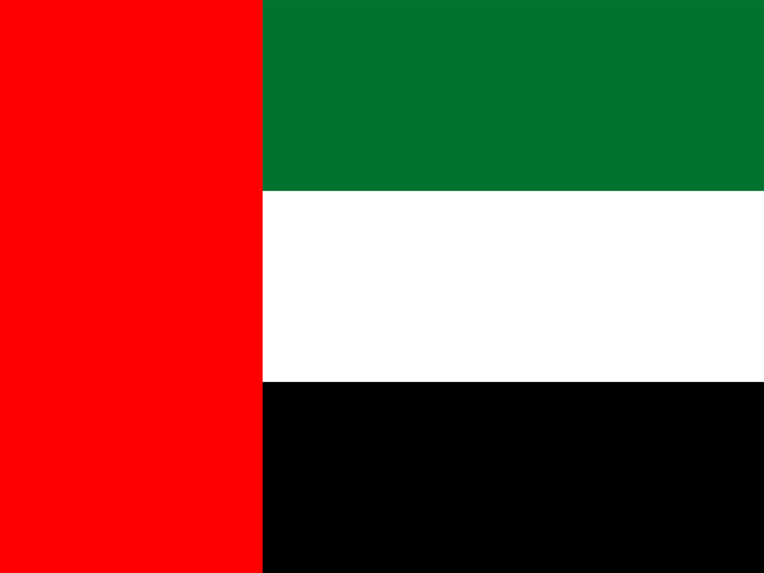Team United Arab Emirates crest
