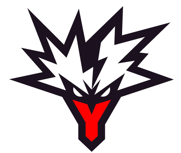 Team Yandex crest