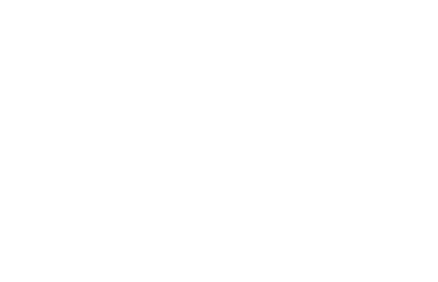 Team Zero crest