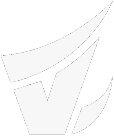 Vasista Esports crest