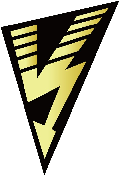 Vision Esports crest